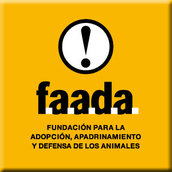 Fundación FAADA Fundación FAADA