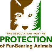 The Association for the Protection of Fur-Bearing Animals The Association for the Protection of Fur-Bearing Animals