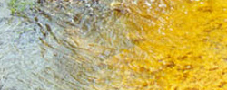Tell Congress to Pass the Clean Water Protection Act Tell Congress to Pass the Clean Water Protection Act