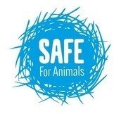 SAFE SAFE