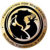 MISSISSIPPI WILDLIFE FISHERIES AND PARKS FOUNDATION MISSISSIPPI WILDLIFE FISHERIES AND PARKS FOUNDATION