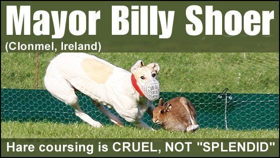Animal Cruelty is NOT "Splendid" Animal Cruelty is NOT "Splendid"