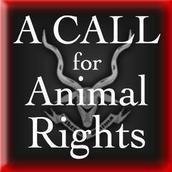 A CALL for Animal Rights Thailand A CALL for Animal Rights Thailand