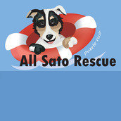 All Sato Rescue All Sato Rescue