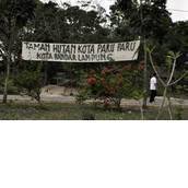 Gerakan Penyelamatan Hutan Kota Bandar Gerakan Penyelamatan Hutan Kota Bandar