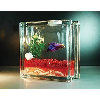 Petition · PetSmart: Stop Selling Fish Tanks That Hold