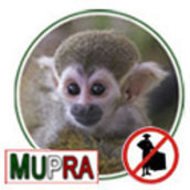 MUPRA • México Unido Por el Respeto a los Animales MUPRA • México Unido Por el Respeto a los Animales