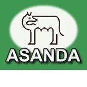 ASANDA ASANDA