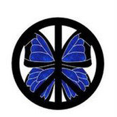 Project HEAL Project HEAL