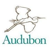 National Audubon Society National Audubon Society