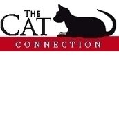 The Cat Connection The Cat Connection