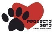 PROYECTO GATO PROYECTO GATO
