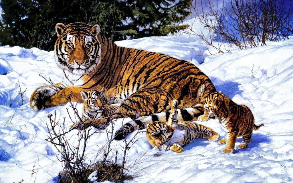 Petition · Link up all existing Siberian Tiger Habitat and protect it