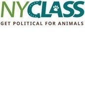 NYCLASS NYCLASS