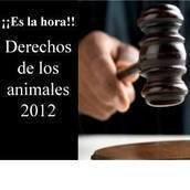 @Justiciapat @Justiciapat