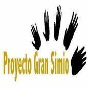 Proyecto Gran Simio (GAP-PGS-España) Proyecto Gran Simio (GAP-PGS-España)