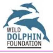 Wild Dolphin Foundation Wild Dolphin Foundation