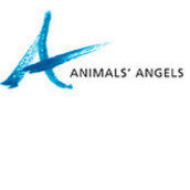Animals' Angels Animals' Angels