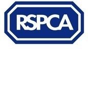 The Royal Society for the Prevention of Cruelty to Animals (RSPCA) The Royal Society for the Prevention of Cruelty to Animals (RSPCA)