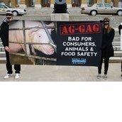 Stop Ag-Gag Coalition Stop Ag-Gag Coalition