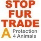 Protection 4 Animals Protection 4 Animals