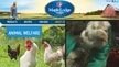 Competition Bureau, Canadian Food Inspection Agency: Stop Maple Lodge from Making Deceptive Advertising Claims Competition Bureau, Canadian Food Inspection Agency: Stop Maple Lodge from Making Deceptive Advertising Claims
