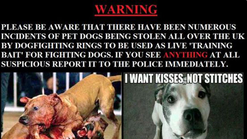 Make Dog Theft A Serious Crime Make Dog Theft A Serious Crime