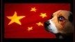 President of the People's Republic of China: STOP THE YULIN DOG MEAT EATING FESTIVAL President of the People's Republic of China: STOP THE YULIN DOG MEAT EATING FESTIVAL