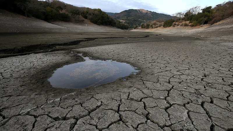 https://www.change.org/p/jerry-brown-stop-the-export-of-billions-of-gallons-of-california-s-water-to-asia